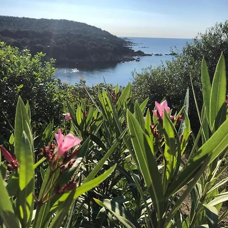 Casa Regina Porto Luna 1 시미우스